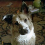 What Magic is this? Contact. Revisited.