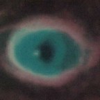 THE WATCHERS MESSAGE