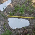 Sasquatch, Big Fur, Robert Bigelow’s search for  Life After Death, Aliens, UFOs and ET Reality – Proof? It’s all relative: Consciousness