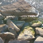 Good time for a review article