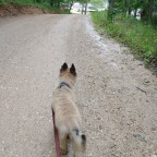 UFO Disclosure, ET Contact, Sasquatch, Telepathic Enigmas