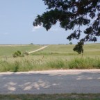 God help save us from the kids: A very short film. And a bit of Random, Paranormal this and UFO that