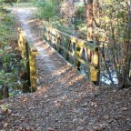 “Only psychos and shamans create their own reality” – Terence McKenna