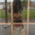 Down the Rabbit hole … turn left