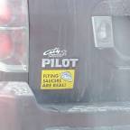 You are the dream of potential, step into your power