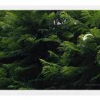 UFOs, ETs, Casey Claar – Whitley Strieber – So much to share