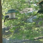 Awakening the groggy masses – ET, NDE, timeline on repeat – avoid nuclear