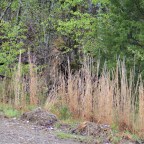 Hidden in plain view – interdimensional  – ever presence – beyond fear