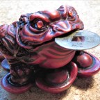 Winks, Synchronicity, and Animal Spirit