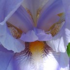 The Dreamer – refreshed in the present: Engaged