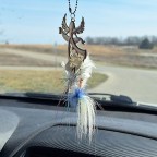 Life, Death, and all points in between