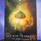 Visions, symbols, insight.  The Horse, the eclipse, and Castaneda