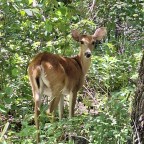 Breadcrumbs, Needles, Haystacks – clues in plain view, portals