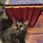 NHI Communication – afterlife and otherwise