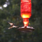 PSI, Afterlife, Soul Contracts, Dream Messengers