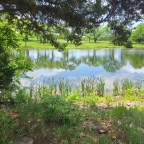 Discerning Abundant Life Signs in the Unseen Presence