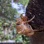 Death is Not the End