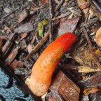 When the Weight Lifted — Spiritual Alignment