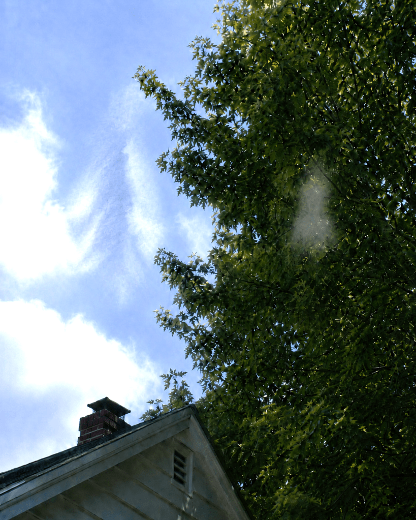 Hidden in plain view.  